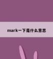 mark一下是什么意思