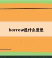 borrow是什么意思