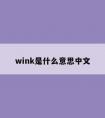 wink是什么意思中文