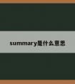 summary是什么意思