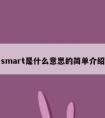 smart是什么意思的简单介绍