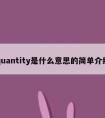 quantity是什么意思的简单介绍