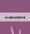 diss是什么意思中文