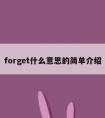 forget什么意思的简单介绍