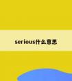 serious什么意思