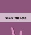 member是什么意思