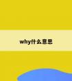 why什么意思