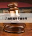 六安请刑事专业律师