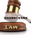 温州请律师打官司费用