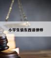 小学生偷东西请律师