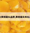 山东黄桃罐头品牌,黄桃罐头知名品牌