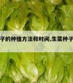 生菜种子的种植方法和时间,生菜种子什么时间收获