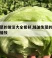 蚝油生菜的做法大全视频,蚝油生菜的做法大全视频播放