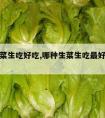 什么生菜生吃好吃,哪种生菜生吃最好吃生菜图片