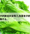 生菜包子的做法大全窍门,生菜包子的做法大全窍门是什么