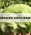 生菜的危害性,生菜对人体有害吗