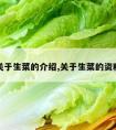 关于生菜的介绍,关于生菜的资料