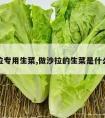 沙拉专用生菜,做沙拉的生菜是什么菜