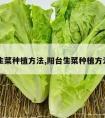 阳台生菜种植方法,阳台生菜种植方法图片