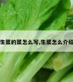 生菜的菜怎么写,生菜怎么介绍