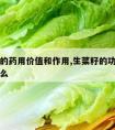 生菜籽的药用价值和作用,生菜籽的功效与作用是什么