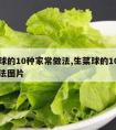 生菜球的10种家常做法,生菜球的10种家常做法图片