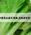 白灼生菜怎么能不发黑,怎样烫生菜不发黑