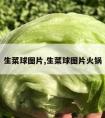 生菜球图片,生菜球图片火锅