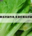 生菜籽黄瓜籽副作用,生菜籽黄瓜籽副作用是什么