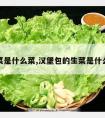 生菜是什么菜,汉堡包的生菜是什么菜