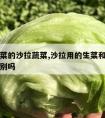 类似生菜的沙拉蔬菜,沙拉用的生菜和普通生菜有区别吗