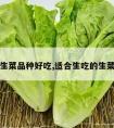 什么生菜品种好吃,适合生吃的生菜品种