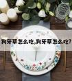 狗牙草怎么吃,狗牙草怎么吃?