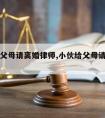 小伙给父母请离婚律师,小伙给父母请离婚律师小说