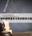 请的律师是实习生的简单介绍