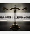 请刑事辩护律师法斗士,刑事辩护律师的权限