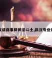 武汉请商事律师法斗士,武汉专业律师