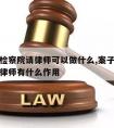 案件到检察院请律师可以做什么,案子到了检察院请律师有什么作用