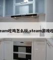 steam吃鸡怎么玩,steam游戏吃鸡