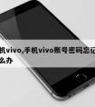 手机vivo,手机vivo账号密码忘记了怎么办