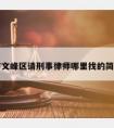 安阳市文峰区请刑事律师哪里找的简单介绍