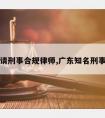 广东请刑事合规律师,广东知名刑事律师