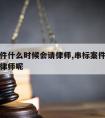 串标案件什么时候会请律师,串标案件什么时候会请律师呢