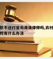 农民借款不还打官司用请律师吗,农村人借钱不还法院有什么办法