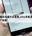 手机格式化是什么意思,vivo手机怎么恢复出厂设置