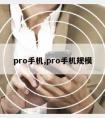 pro手机,pro手机规模