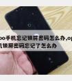 oppo手机忘记锁屏密码怎么办,oppo手机锁屏密码忘记了怎么办