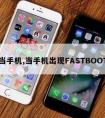 当手机,当手机出现FASTBOOT