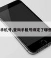 查询手机号,查询手机号绑定了哪些app