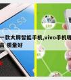 推荐一款大屏智能手机,vivo手机哪款性价比高 质量好